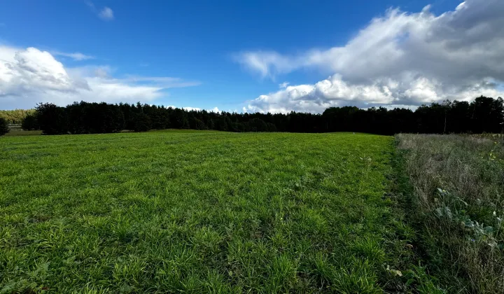 Działka budowlana Perlino, ul. Alpejska