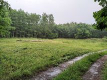 Działka budowlana Przeradz. Zdjęcie 4