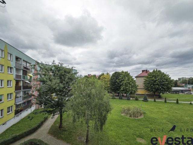 Mieszkanie 4-pokojowe Jelcz-Laskowice, ul. Ludwika Hirszfelda. Zdjęcie 16