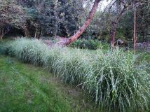 Działka rod Lublin. Zdjęcie 2