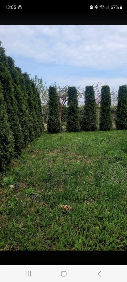 Działka rod Poznań Krzesiny. Zdjęcie 3