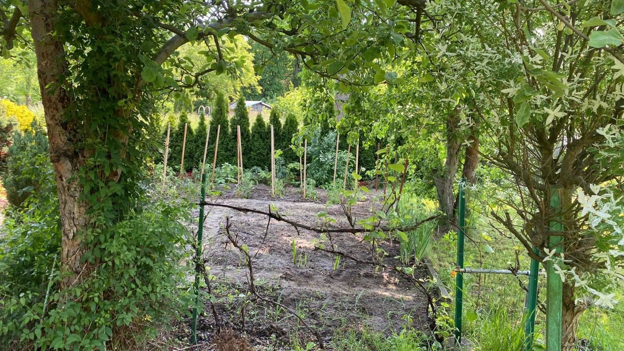Działka rod Zielona Góra Jędrzychów, ul. Dożynkowa. Zdjęcie 3