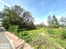 Działka rekreacyjna Morawica. Zdjęcie 4