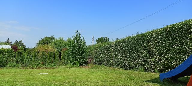 Działka rekreacyjna Tarnów Krzyż, ul. Józefa Dwernickiego. Zdjęcie 1