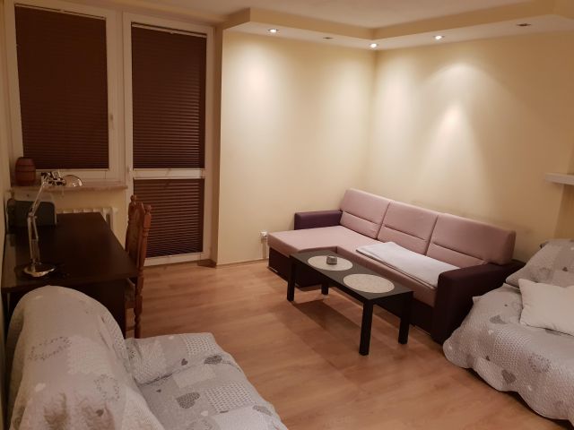 Mieszkanie 1-pokojowe Łódź Śródmieście, ul. Pilota Stanisława Wigury. Zdjęcie 1