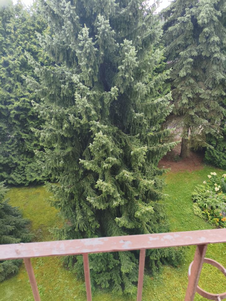 Mieszkanie 1-pokojowe Zaborze, ul. Jezioro. Zdjęcie 7