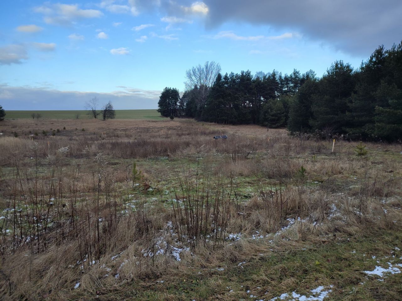Działka budowlana Zawiercie Żerkowice, ul. Warzywna. Zdjęcie 3