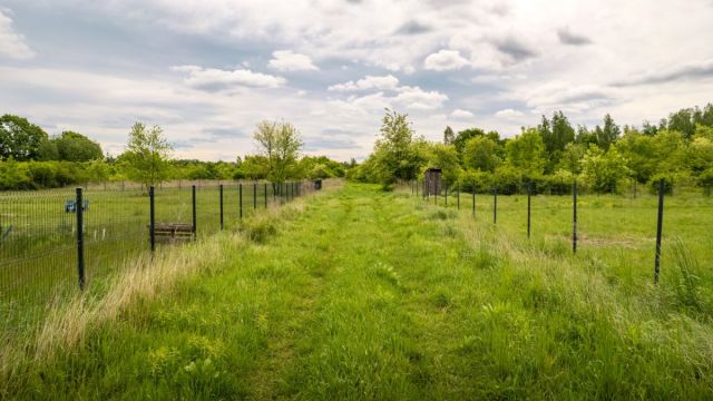 Działka budowlana Rusiec, ul. Cytrusowa. Zdjęcie 13