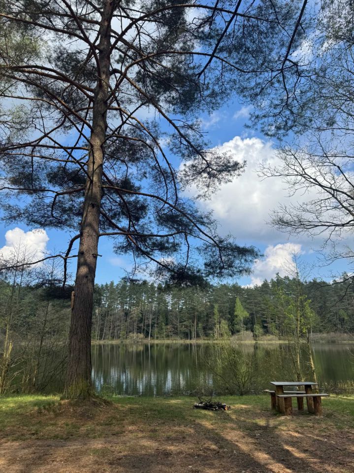 Działka rolno-budowlana Wiewiórowo. Zdjęcie 7