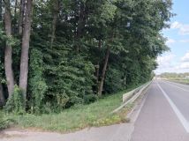 Działka Cisów. Zdjęcie 1