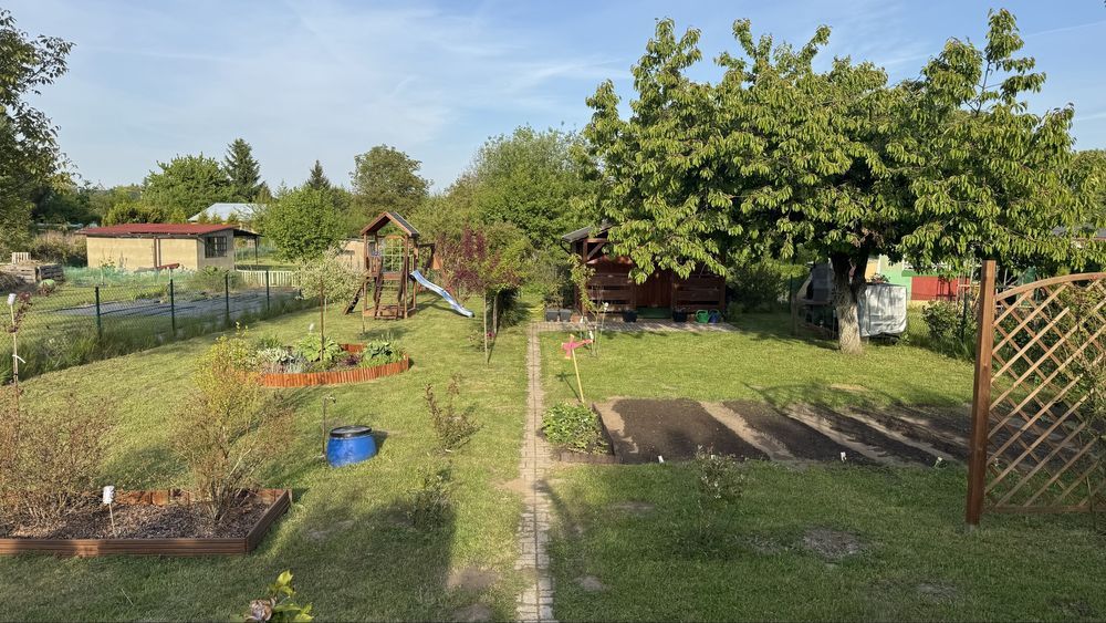 Działka rod Brzeg Dolny. Zdjęcie 3