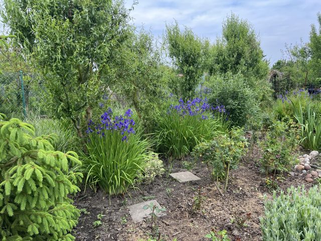 Działka rod Włocławek Południe , ul. Jastrzębia. Zdjęcie 10