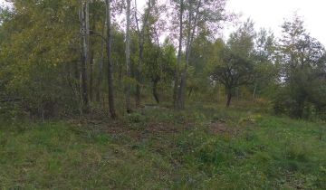 Nieruchomość komercyjna Lipinki