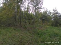 Nieruchomość komercyjna Lipinki. Zdjęcie 2