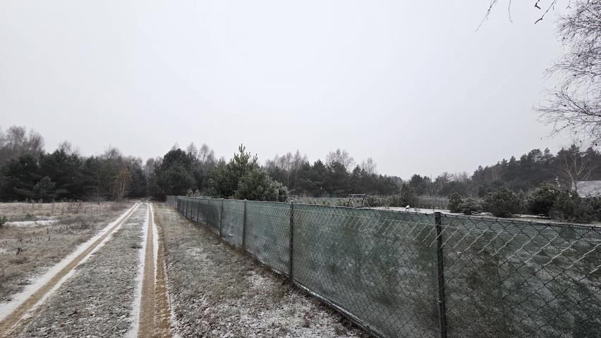 Działka rekreacyjna Osada-Wola. Zdjęcie 8