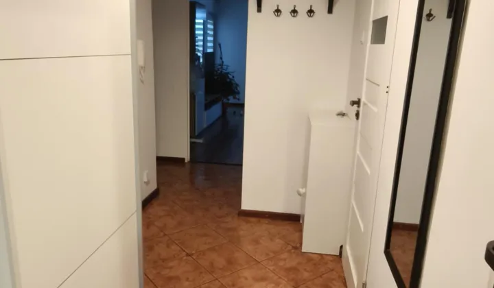 Mieszkanie 2-pokojowe Biała Podlaska, ul. Sidorska