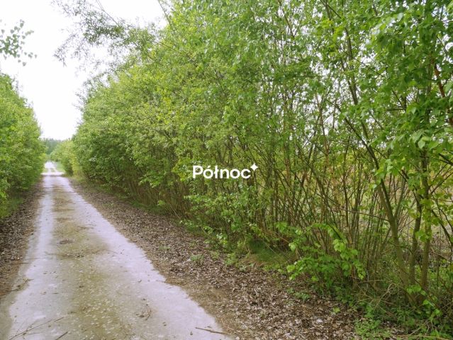 Działka rolna Przesieczany. Zdjęcie 7