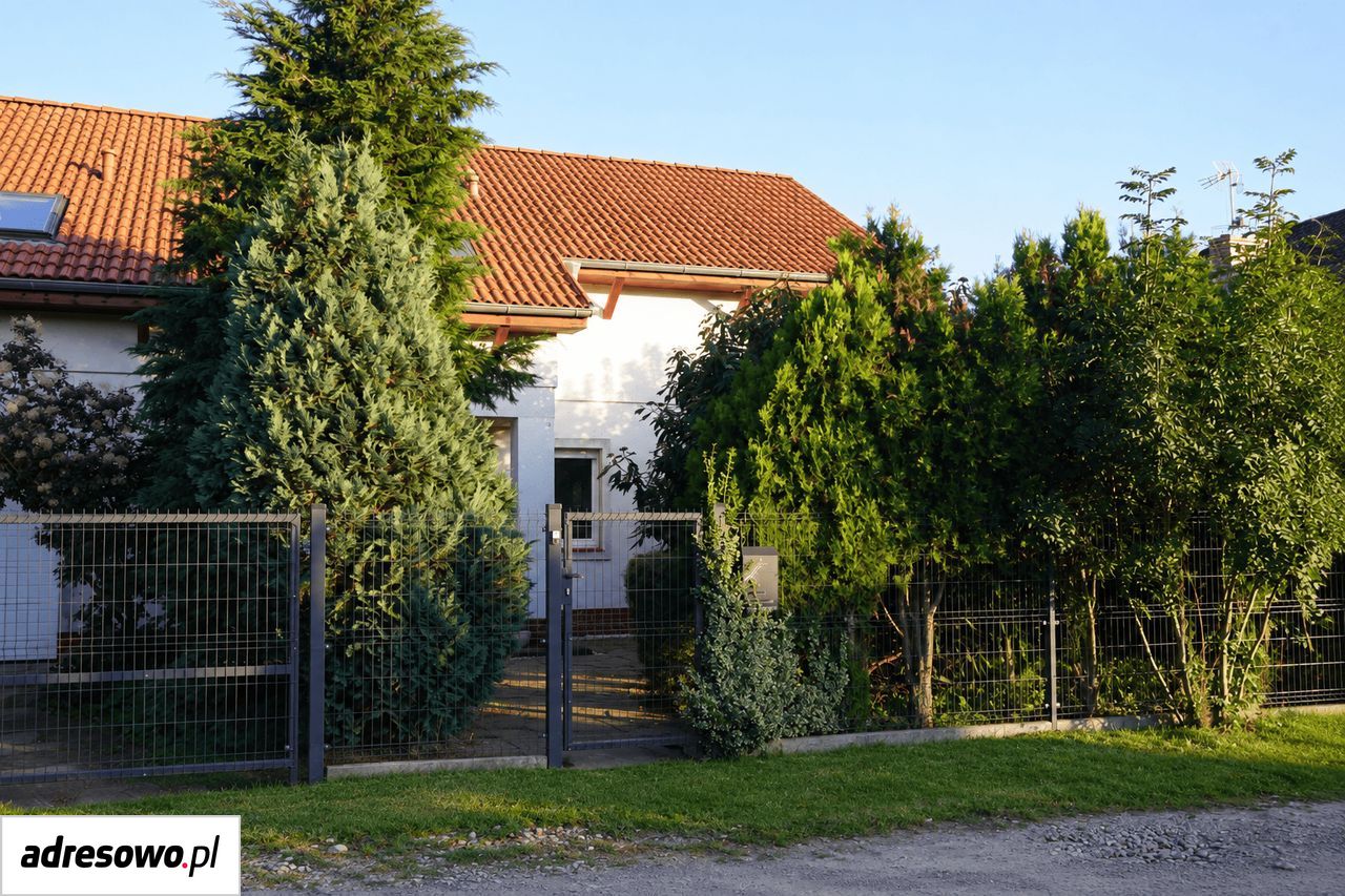 Zdjęcie 4