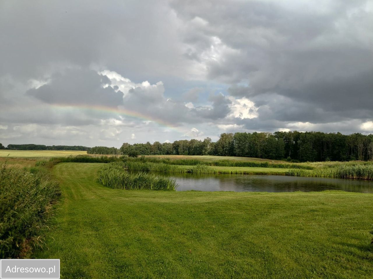Działka rekreacyjna Ruta Gradowo. Zdjęcie 6