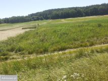 Działka rolna Różnowo. Zdjęcie 1