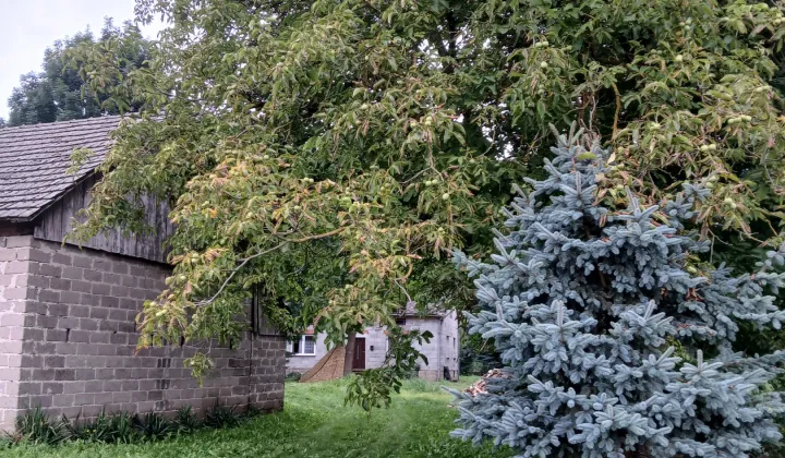 dom wolnostojący, 2 pokoje Ostrówek