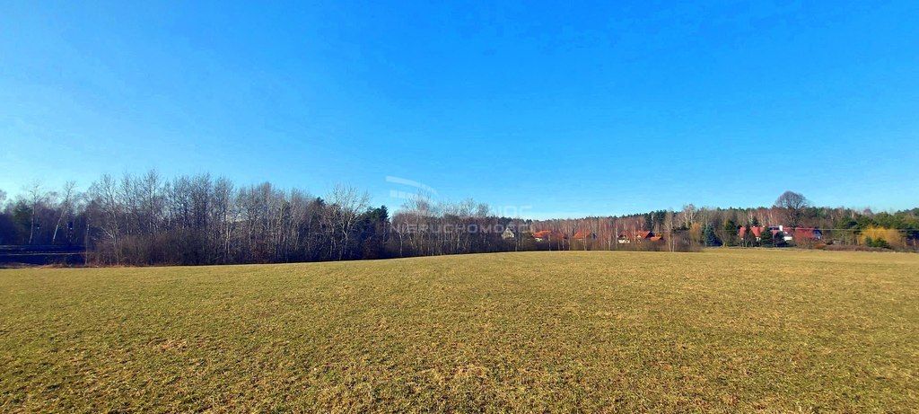 Działka budowlana Marcinkowo. Zdjęcie 2