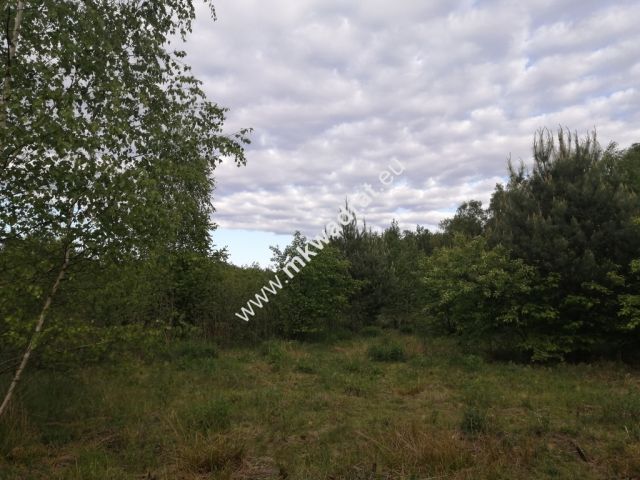 Działka budowlana Budy Zaklasztorne, mkwadrat.eu - najwięcej aktualnych sprawdzonych ofert!. Zdjęcie 4