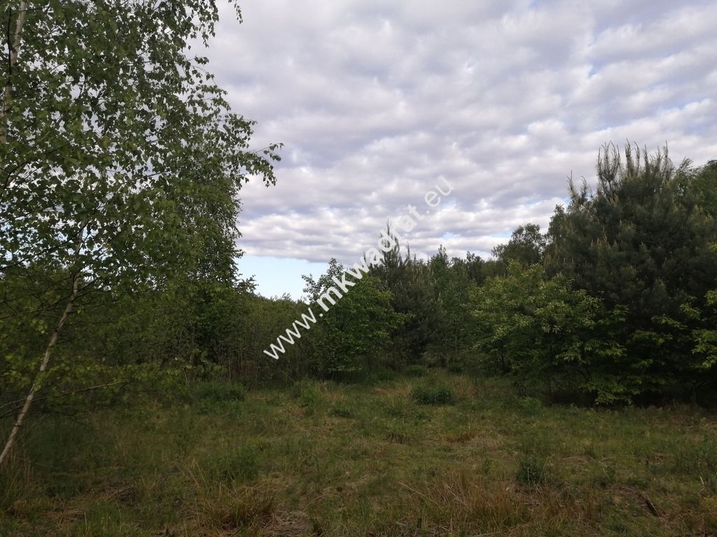 Działka budowlana Budy Zaklasztorne, mkwadrat.eu - najwięcej aktualnych sprawdzonych ofert!. Zdjęcie 4