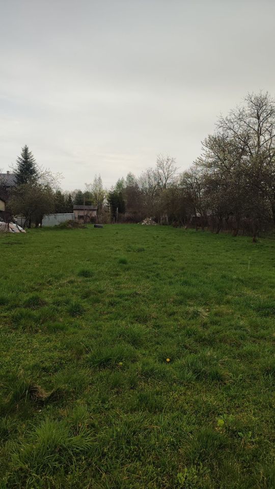 Działka rolno-budowlana Zebrzydowice. Zdjęcie 2