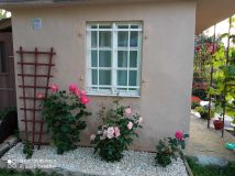 Działka rod Zgorzelec, ul. Bolesławiecka. Zdjęcie 4