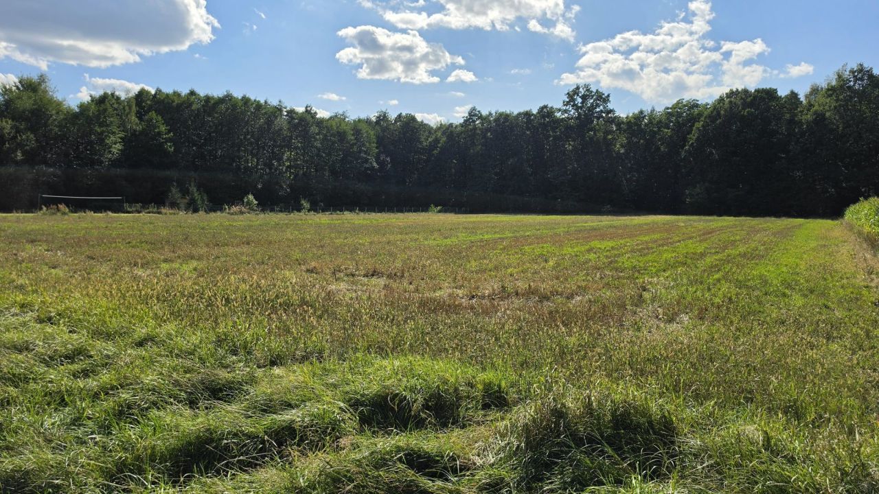 Działka rolno-budowlana Skoczów Dolny Bór, ul. Dolny Bór. Zdjęcie 6