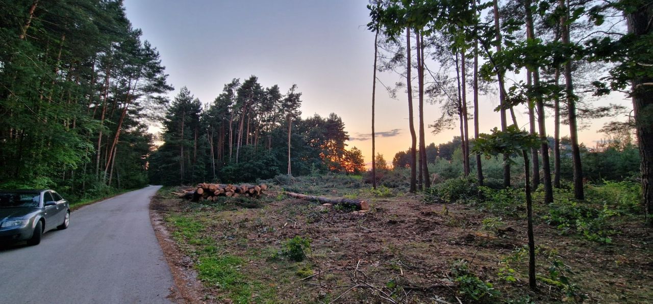 Działka budowlana Łosienek. Zdjęcie 2