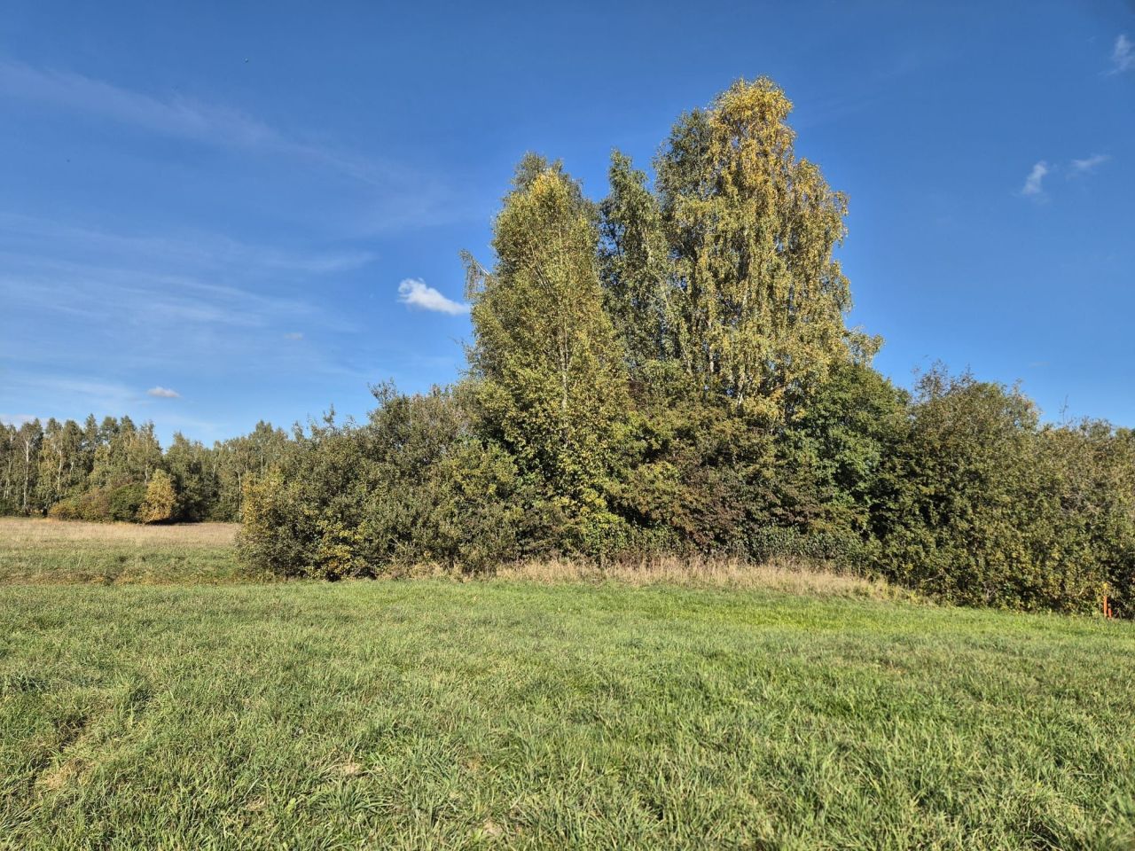 Działka inwestycyjna Naprusewo. Zdjęcie 5