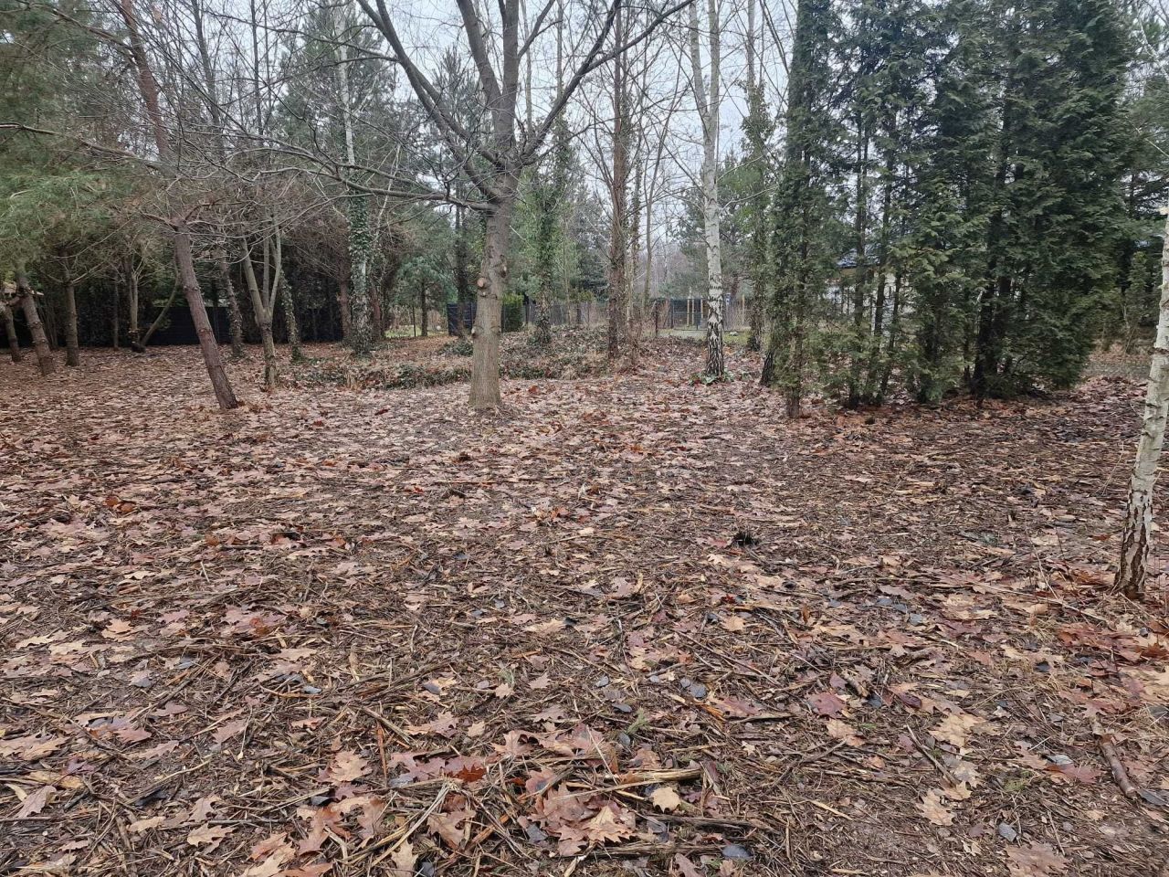 Działka budowlana Wola Prażmowska, ul. Leśna. Zdjęcie 6