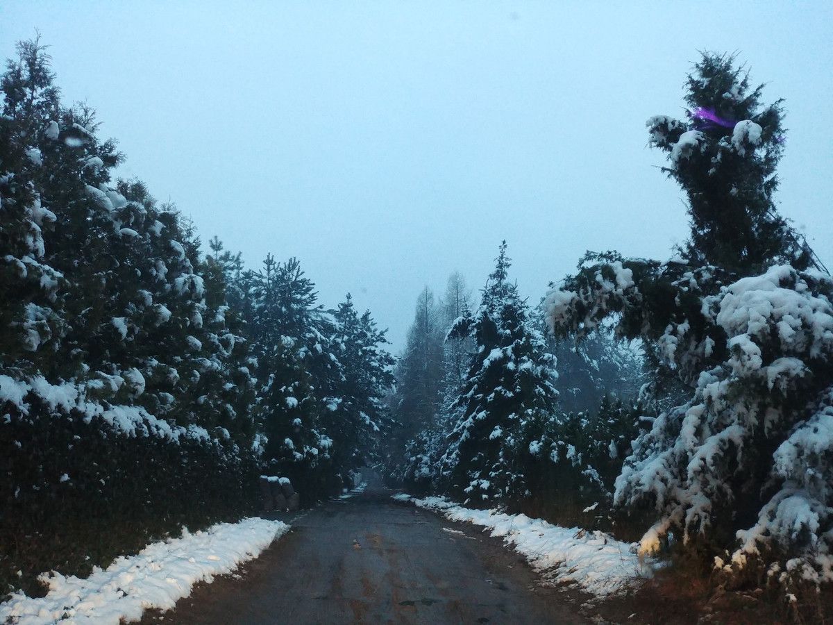 Działka budowlana Zofiówka, ul. Cienista. Zdjęcie 6