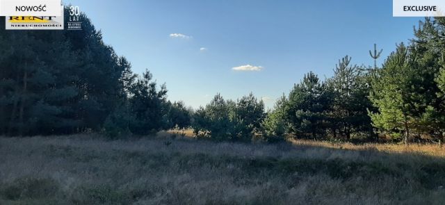 Działka rekreacyjna Krzywnica. Zdjęcie 8