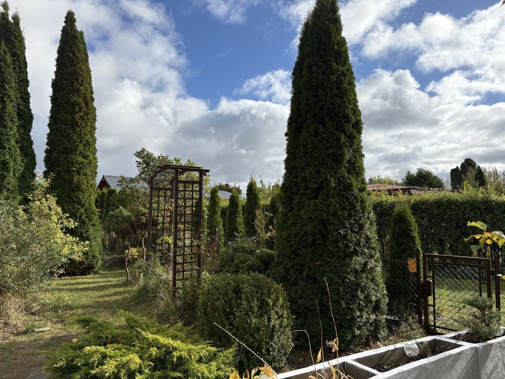 Działka rod Gdynia Chwarzno-Wiczlino, ul. Kardynała Wyszyńskiego. Zdjęcie 5