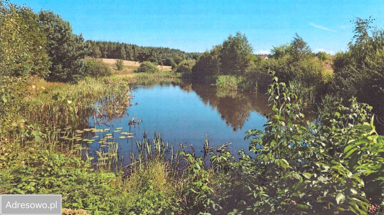 Działka budowlana Dziemiany. Zdjęcie 2