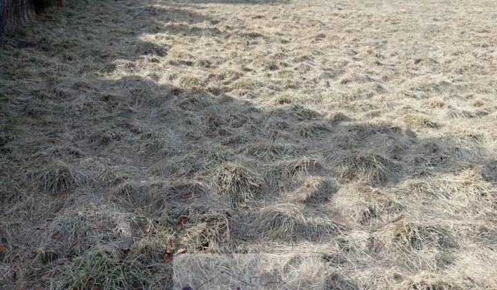 Działka budowlana Kajetany