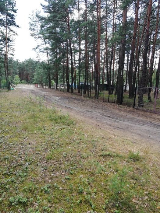 Działka rekreacyjna Masłońskie. Zdjęcie 4