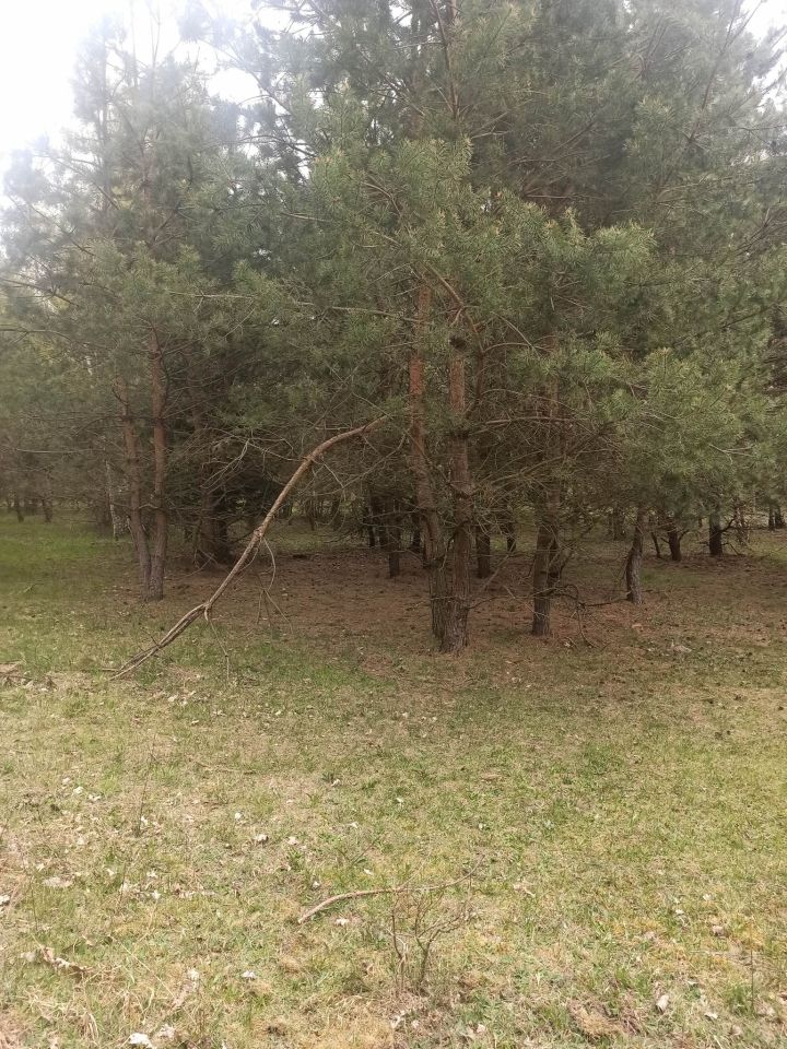 Działka rolno-budowlana Warniłęg. Zdjęcie 10
