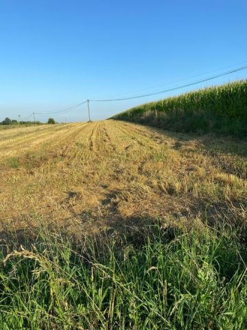 Działka rolno-budowlana Słomniki. Zdjęcie 1