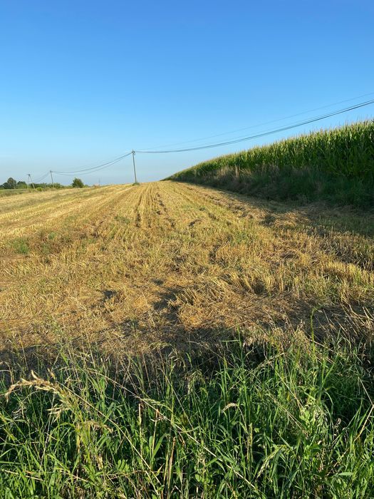 Działka rolno-budowlana Słomniki