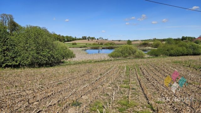 Działka siedliskowa Wilczkowo. Zdjęcie 3