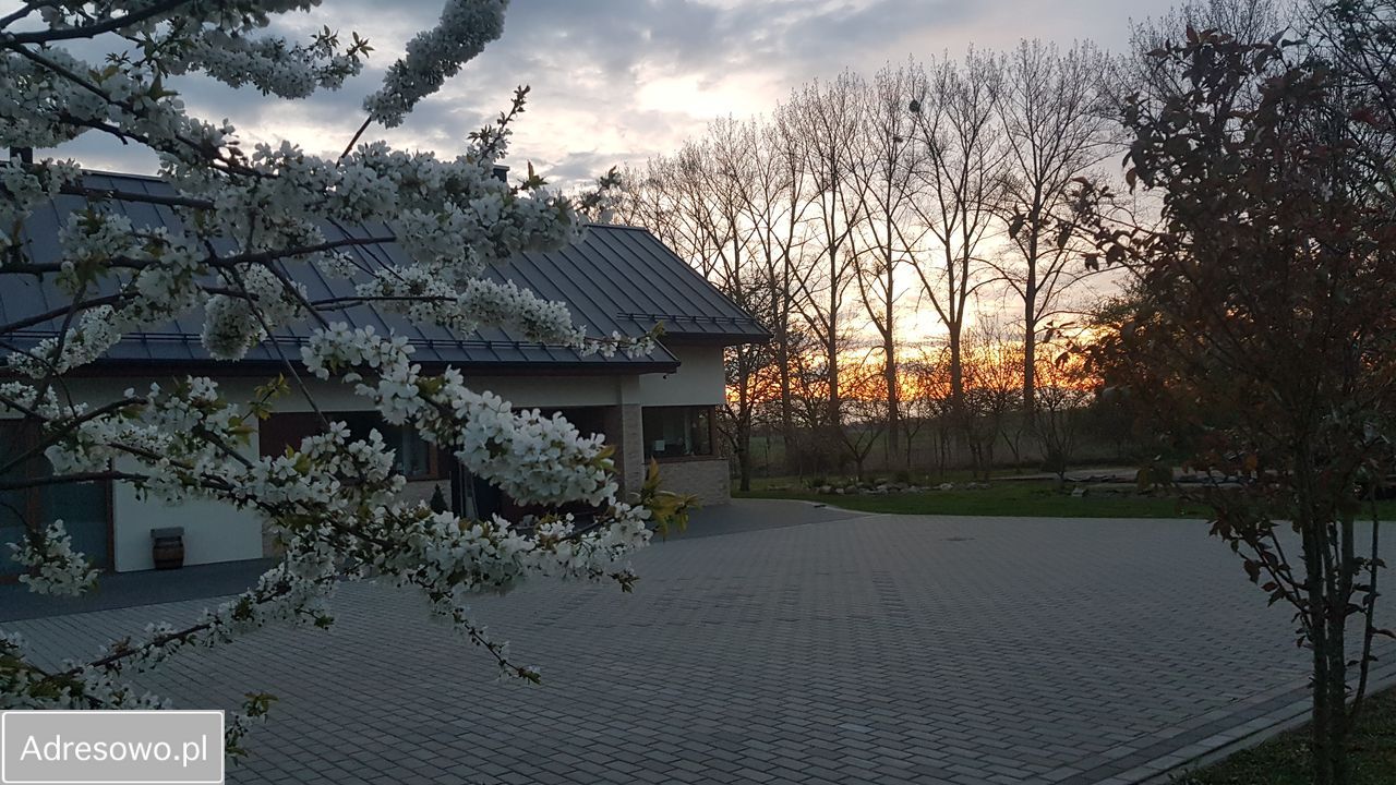 dom wolnostojący, 5 pokoi Darż. Zdjęcie 5