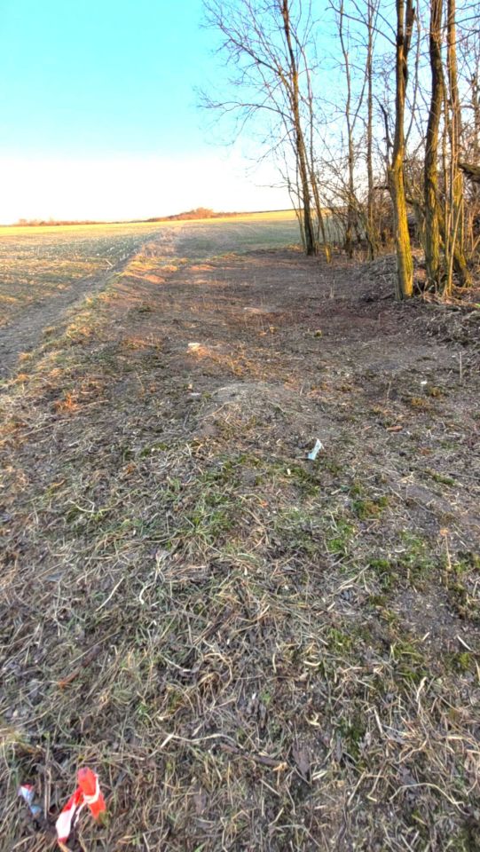 Działka budowlana Płoskie. Zdjęcie 8