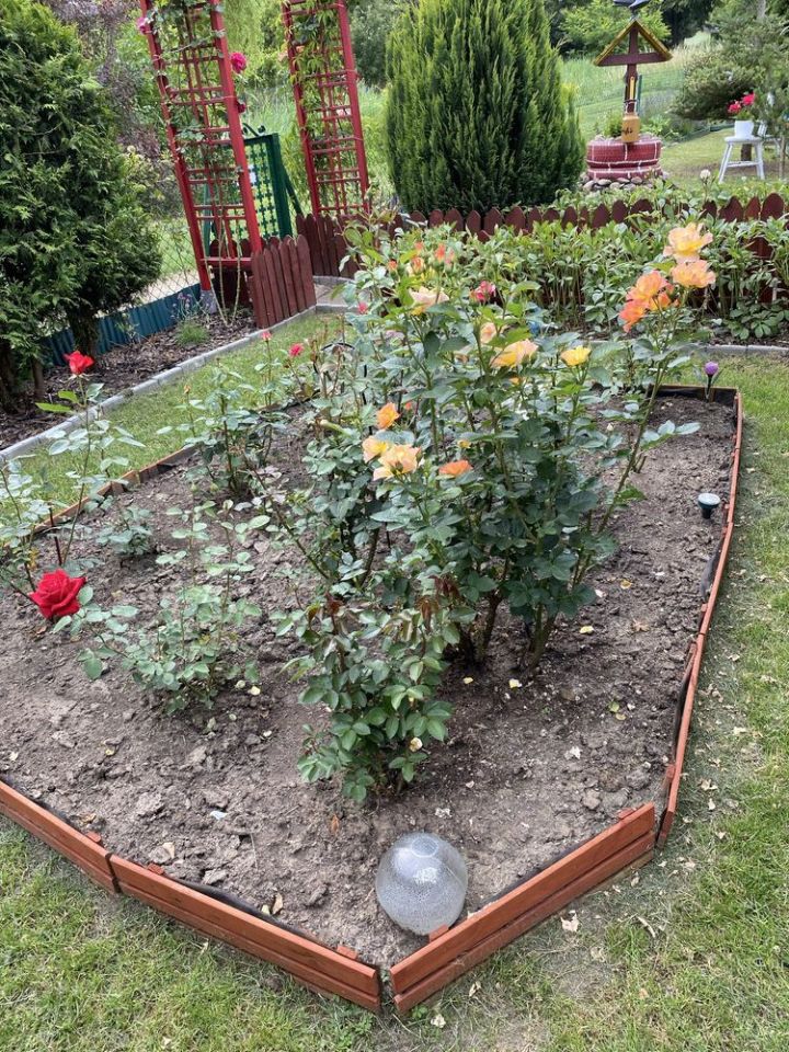 Działka rod Płock. Zdjęcie 2