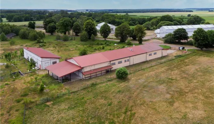 Hala/magazyn Gołębiewo, Gołębiewa