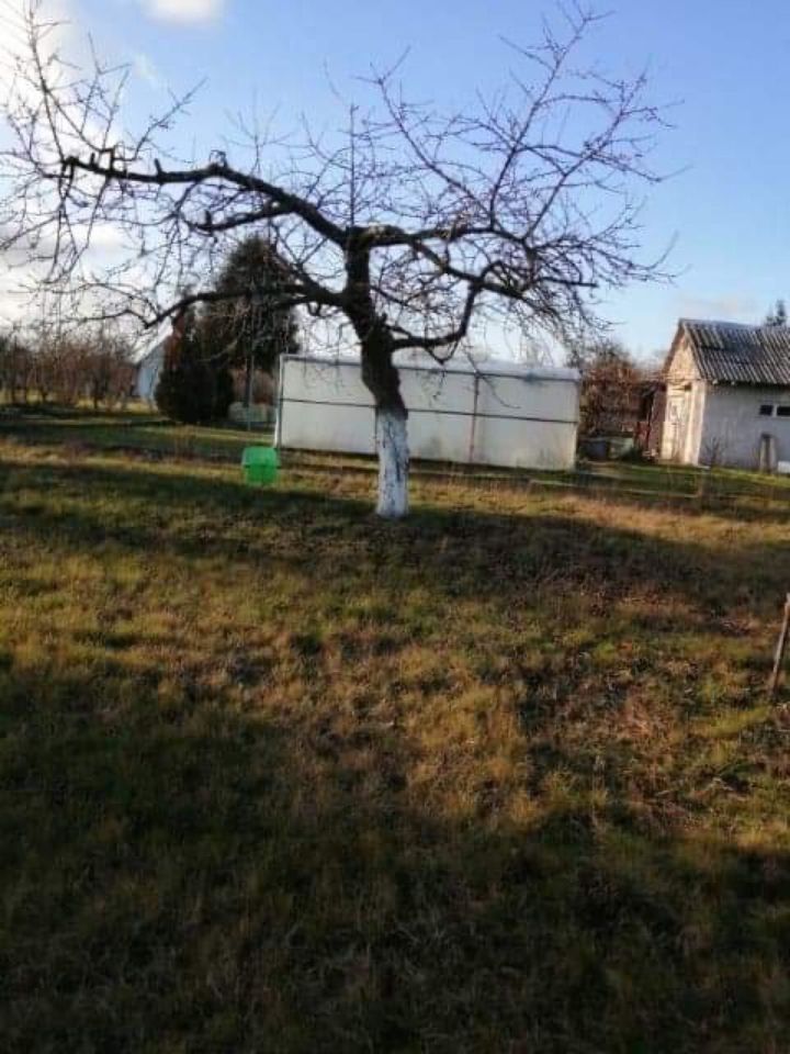 Działka rod Krosno Odrzańskie. Zdjęcie 3