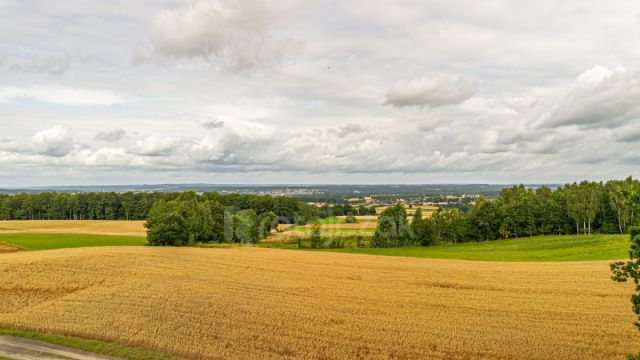 Działka inwestycyjna Milwino, ul. Rolnicza. Zdjęcie 7